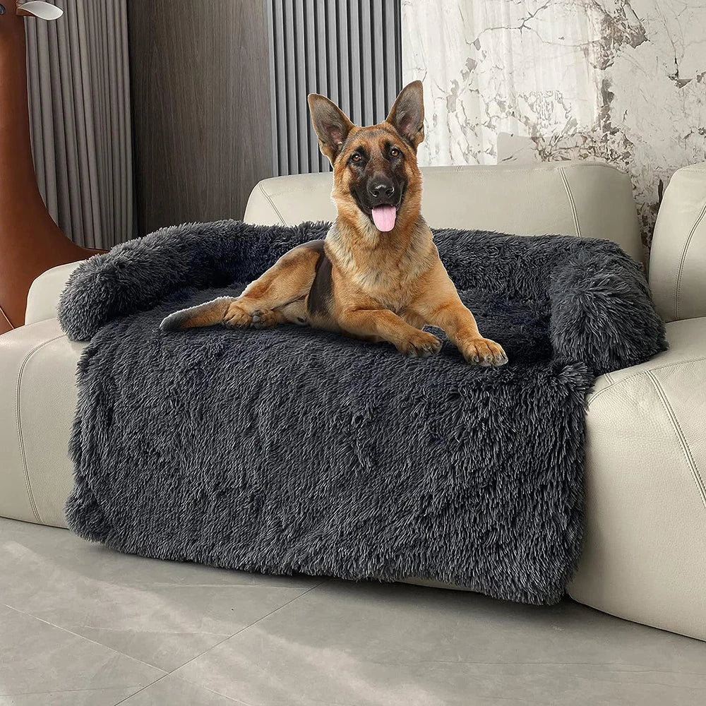 Can Sofa Covers Help Prevent Damage from Puppies Chewing or Scratching?