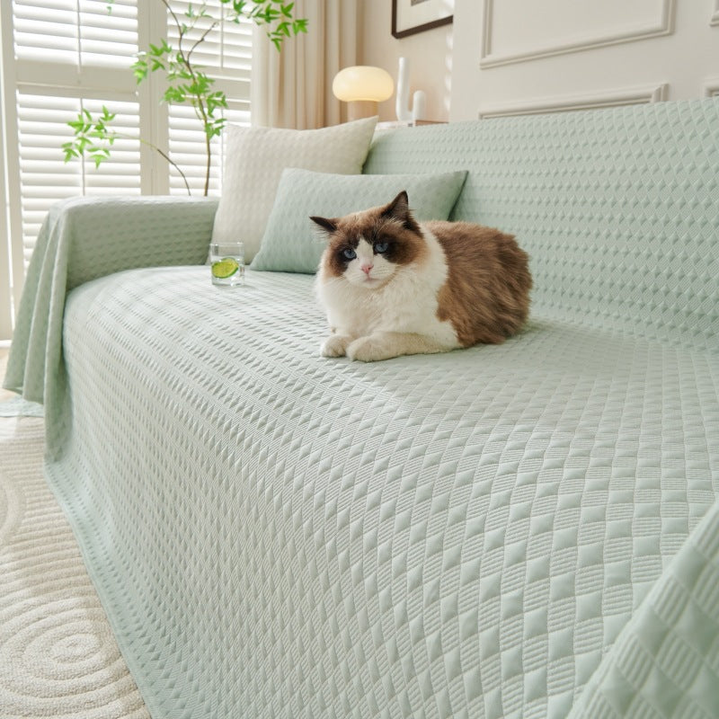 Leather Sofa with Throw